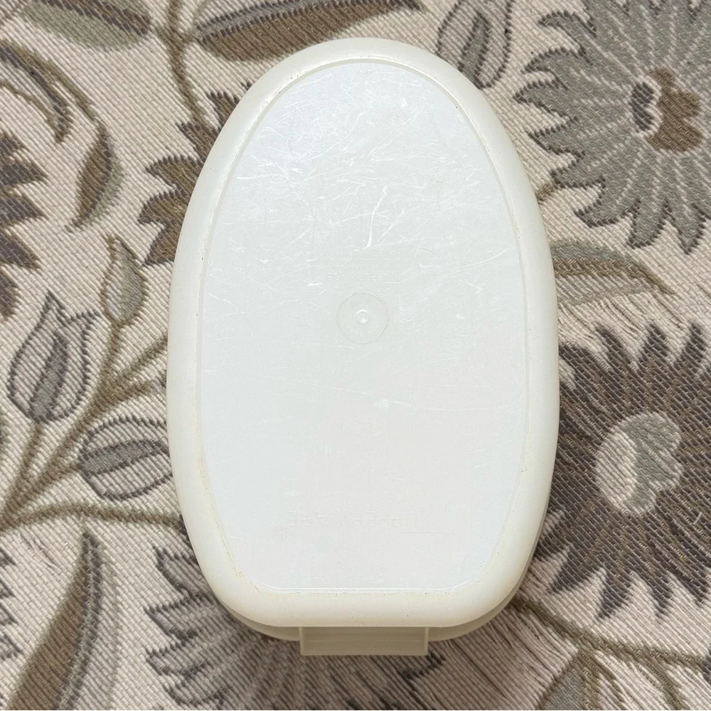 Vintage Tupperware Flavor Saver Ham Chicken Meat Keeper Container Clear
